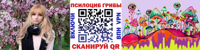 Купить закладки  Усмань  Псилоцибиновые грибы MAGIC MUSHROOMS 